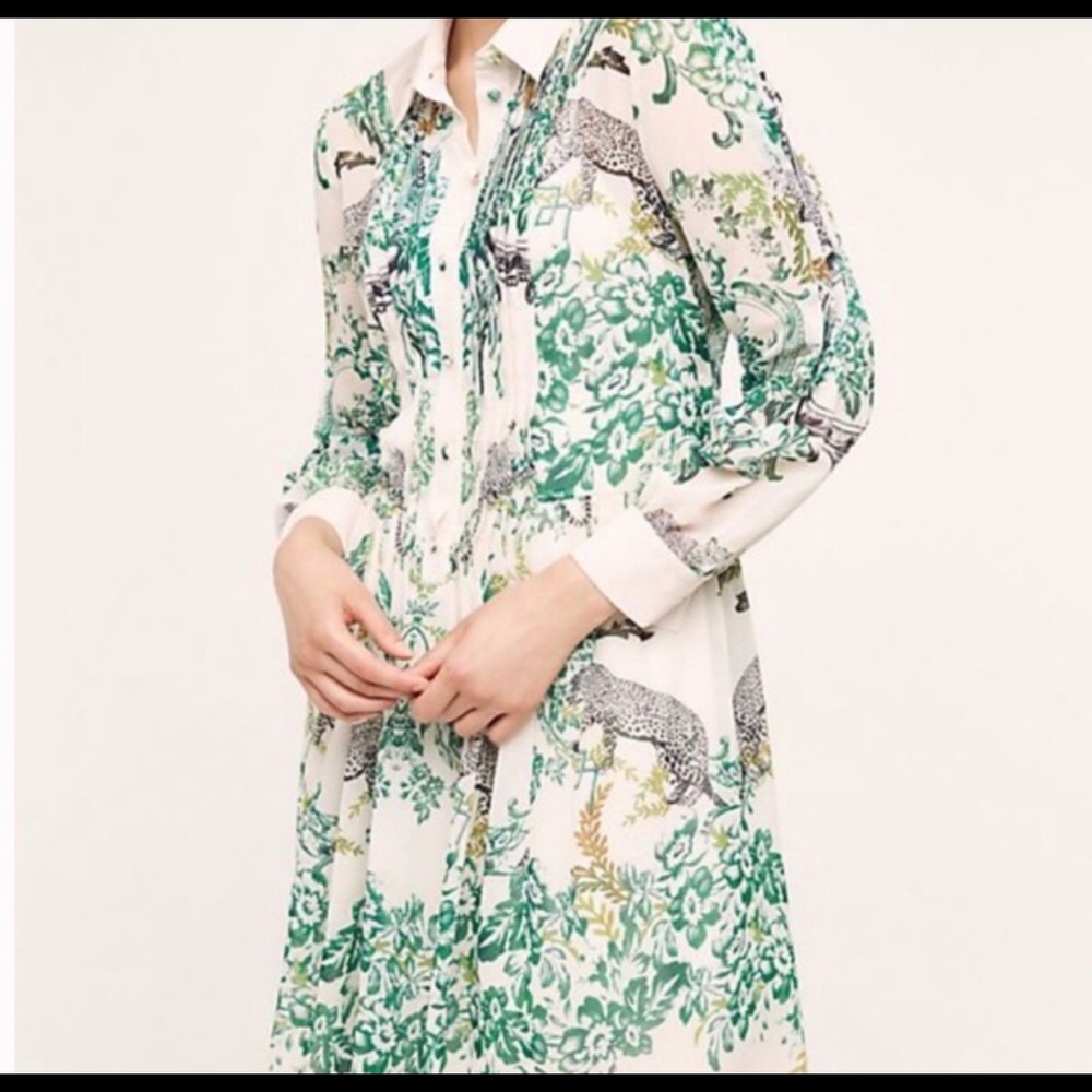 Anthropologie Meave aria Cheetah and Floral Dress